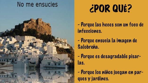 Contenido del díptico que se repartirá por las calles de la Villa.